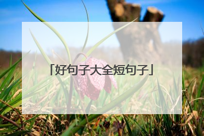 好句子大全短句子