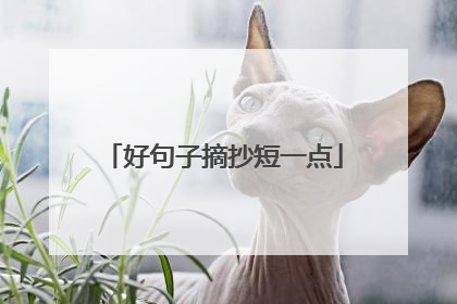 好句子摘抄短一点