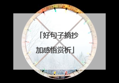 好句子摘抄加感悟赏析