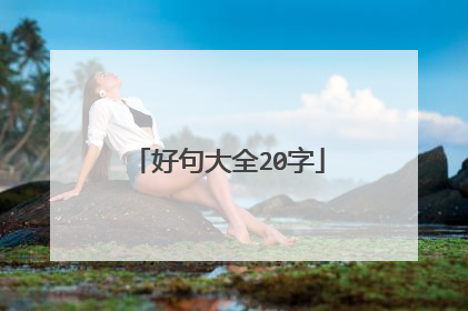 好句大全20字