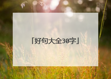 好句大全30字