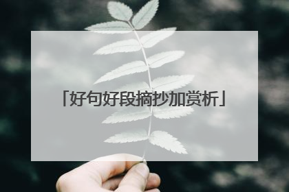 好句好段摘抄加赏析