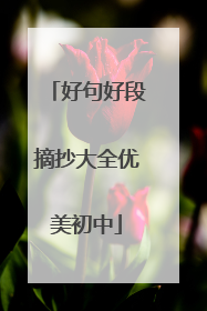 好句好段摘抄大全优美初中