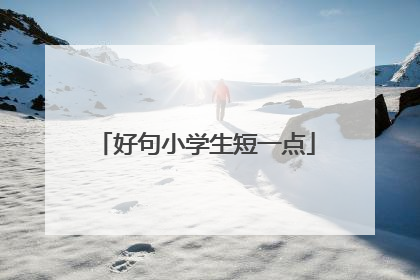 好句小学生短一点