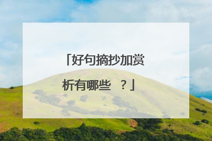 好句摘抄加赏析有哪些 ?