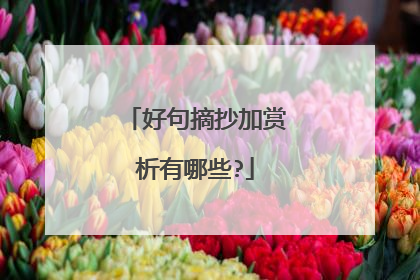 好句摘抄加赏析有哪些?