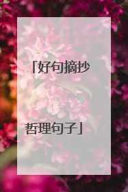 好句摘抄哲理句子