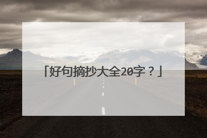 好句摘抄大全20字？