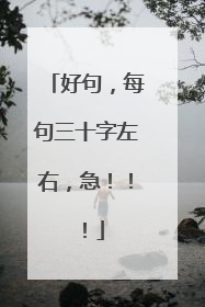 好句，每句三十字左右，急！！！