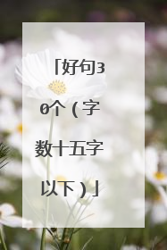 好句30个(字数十五字以下)