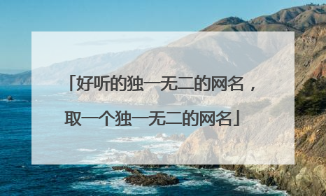 好听的独一无二的网名，取一个独一无二的网名