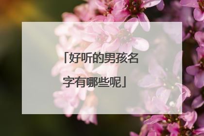好听的男孩名字有哪些呢