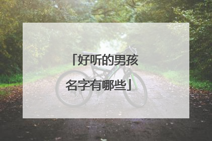 好听的男孩名字有哪些