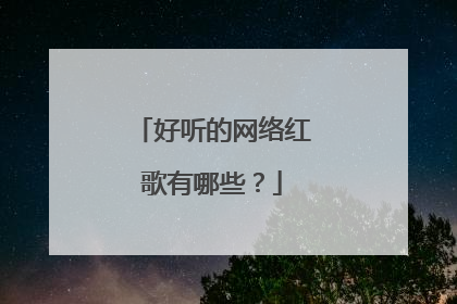 好听的网络红歌有哪些?