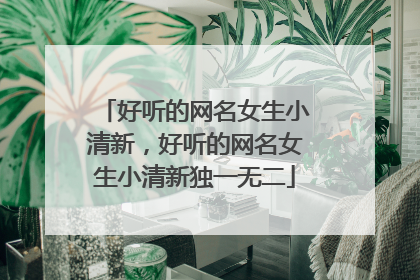 好听的网名女生小清新，好听的网名女生小清新独一无二