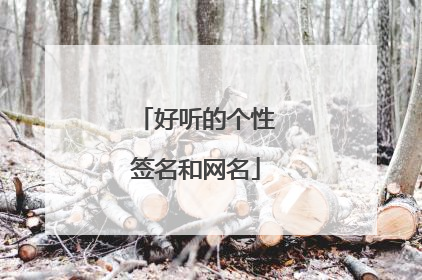 好听的个性签名和网名