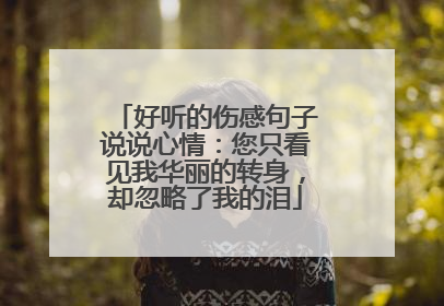 好听的伤感句子说说心情:您只看见我华丽的转身,却忽略了我的泪
