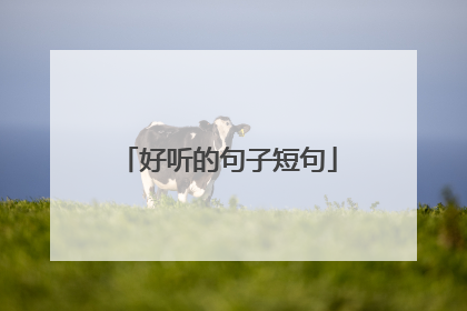 好听的句子短句