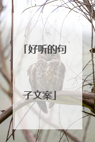 好听的句子文案