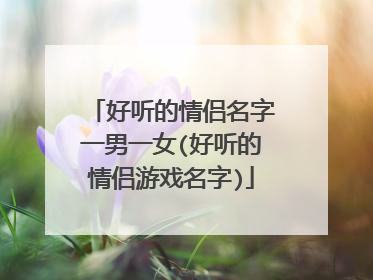 好听的情侣名字一男一女(好听的情侣游戏名字)
