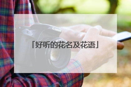 好听的花名及花语