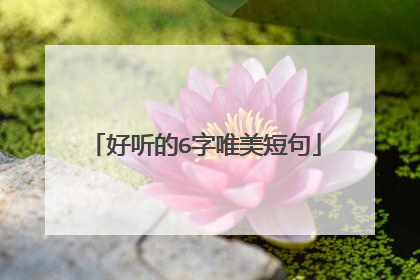 好听的6字唯美短句