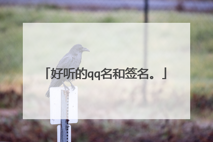 好听的qq名和签名。