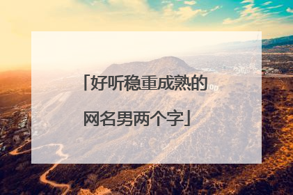 好听稳重成熟的网名男两个字