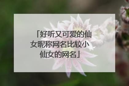 好听又可爱的仙女昵称网名比较小仙女的网名