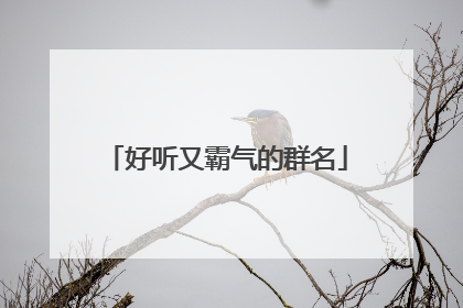 好听又霸气的群名
