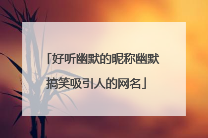 好听幽默的昵称幽默搞笑吸引人的网名