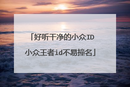 好听干净的小众ID 小众王者id不易撞名