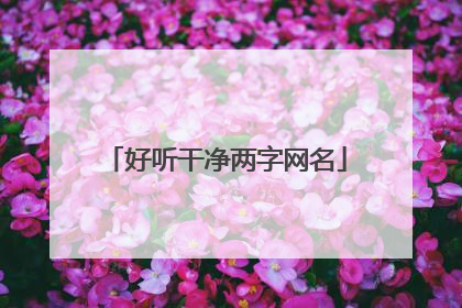 好听干净两字网名