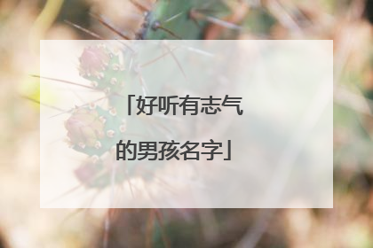 好听有志气的男孩名字