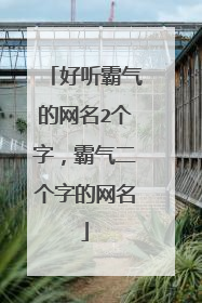 好听霸气的网名2个字，霸气二个字的网名