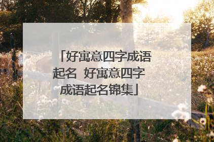 好寓意四字成语起名 好寓意四字成语起名锦集