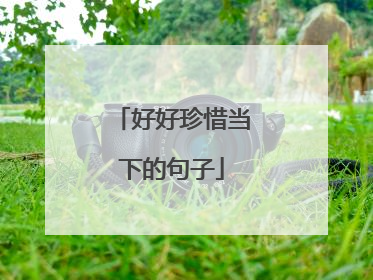 好好珍惜当下的句子