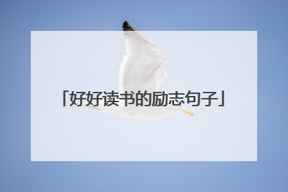 好好读书的励志句子