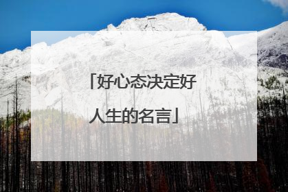 好心态决定好人生的名言