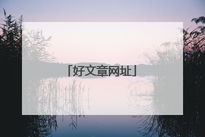 好文章网址
