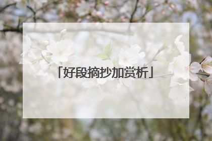 好段摘抄加赏析
