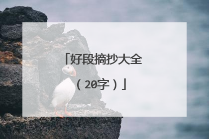 好段摘抄大全(20字)