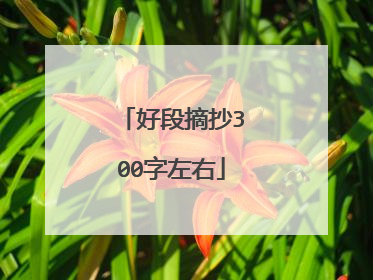 好段摘抄300字左右
