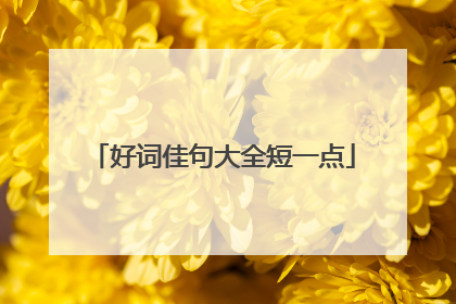 好词佳句大全短一点