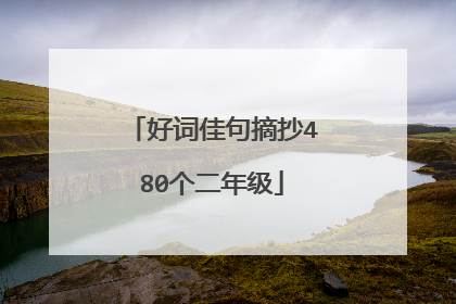 好词佳句摘抄480个二年级