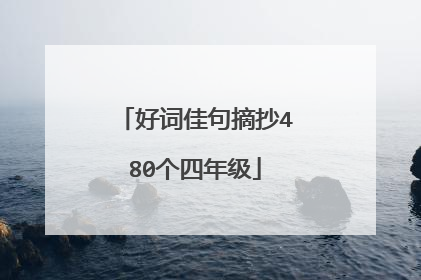 好词佳句摘抄480个四年级