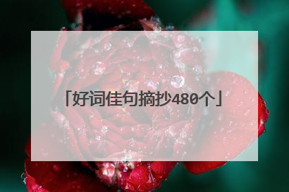 好词佳句摘抄480个