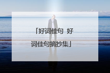 好词佳句 好词佳句摘抄集