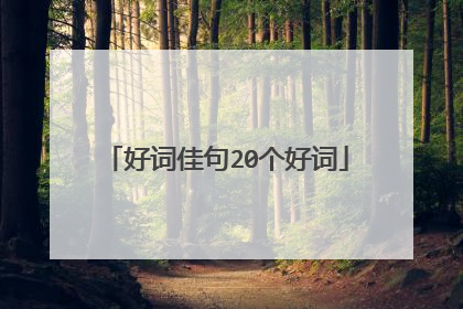 好词佳句20个好词