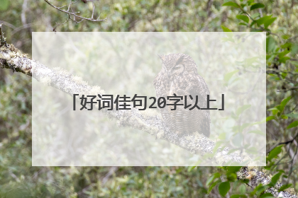 好词佳句20字以上